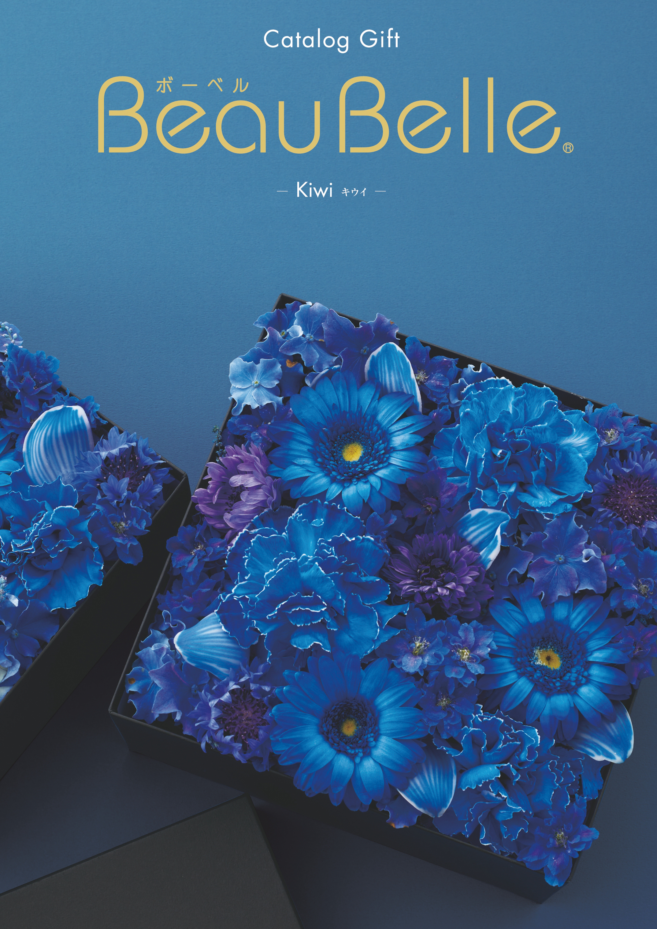 ボーベル  キウイ