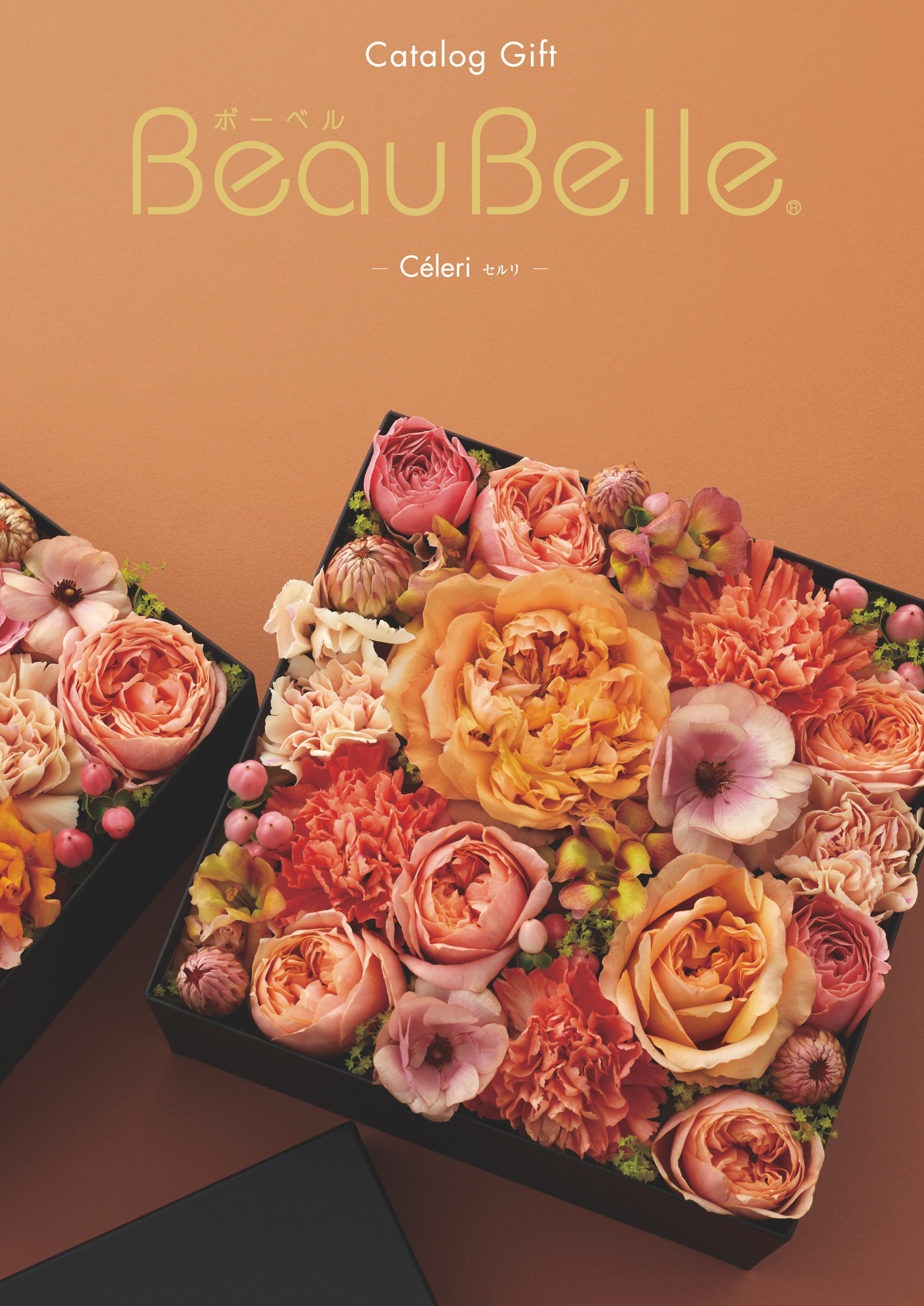 ボーベル  セルリ