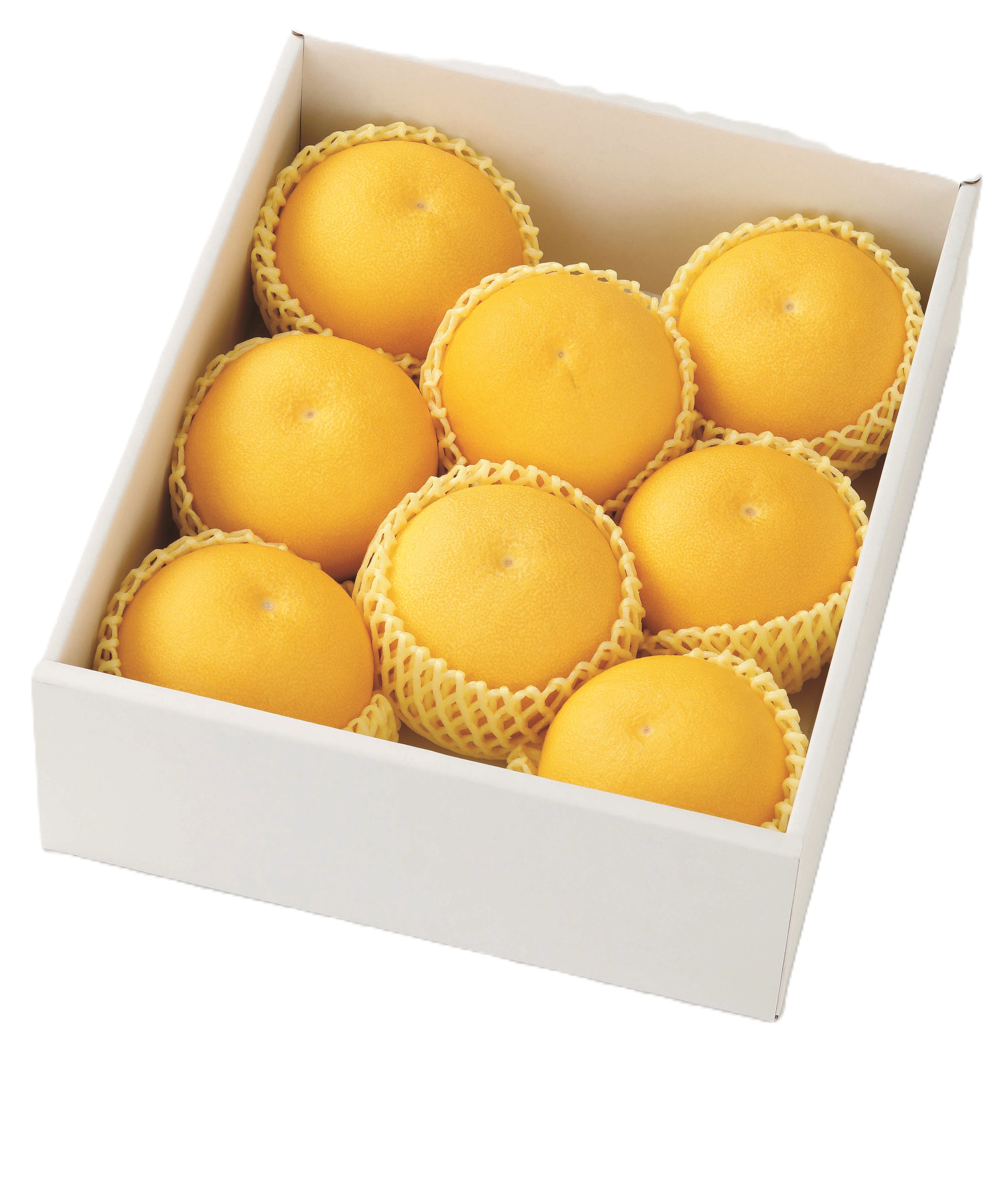 B05　高知産　土佐文旦2L化粧箱