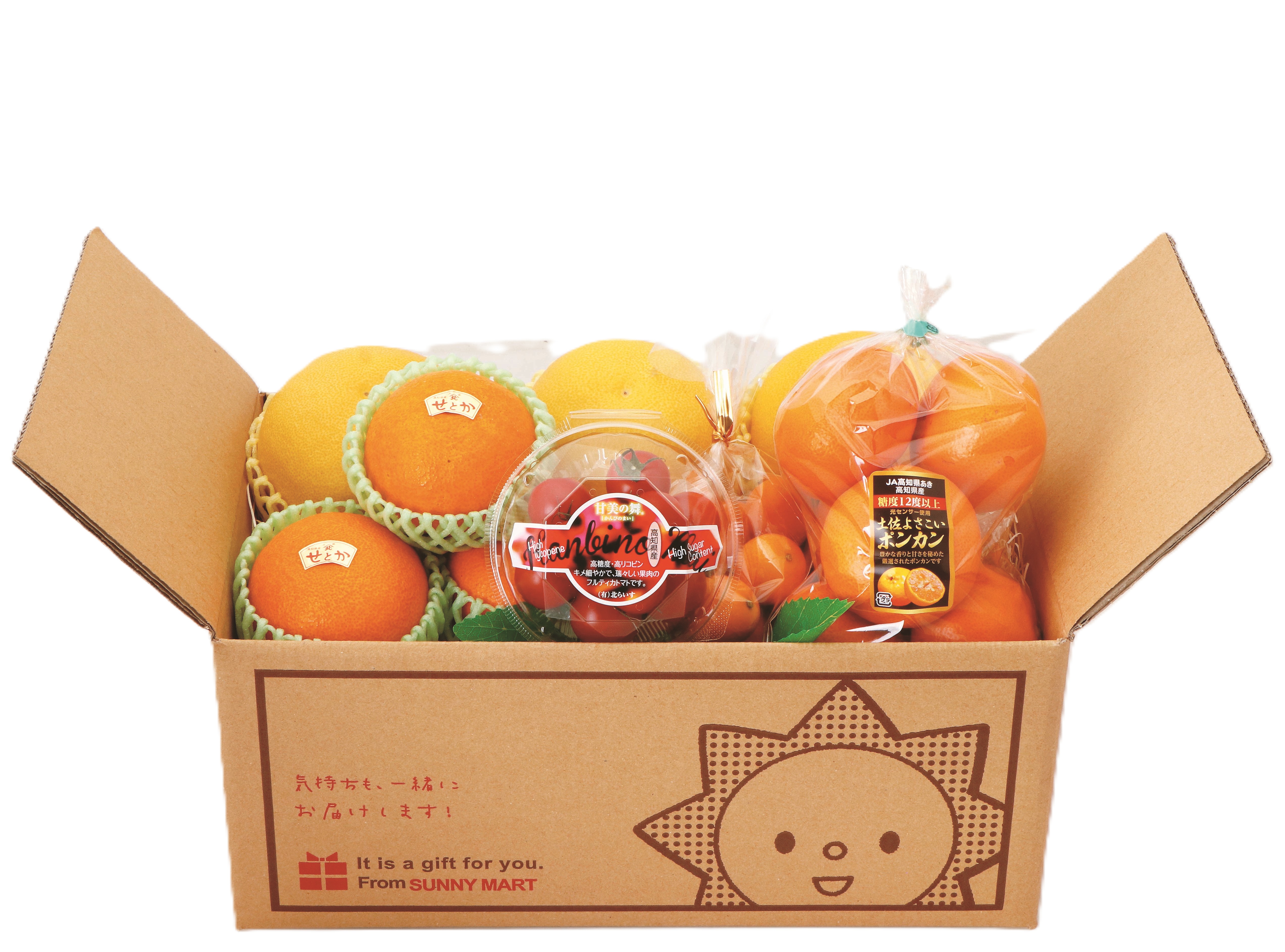 B10　高知産　旬の柑橘セット