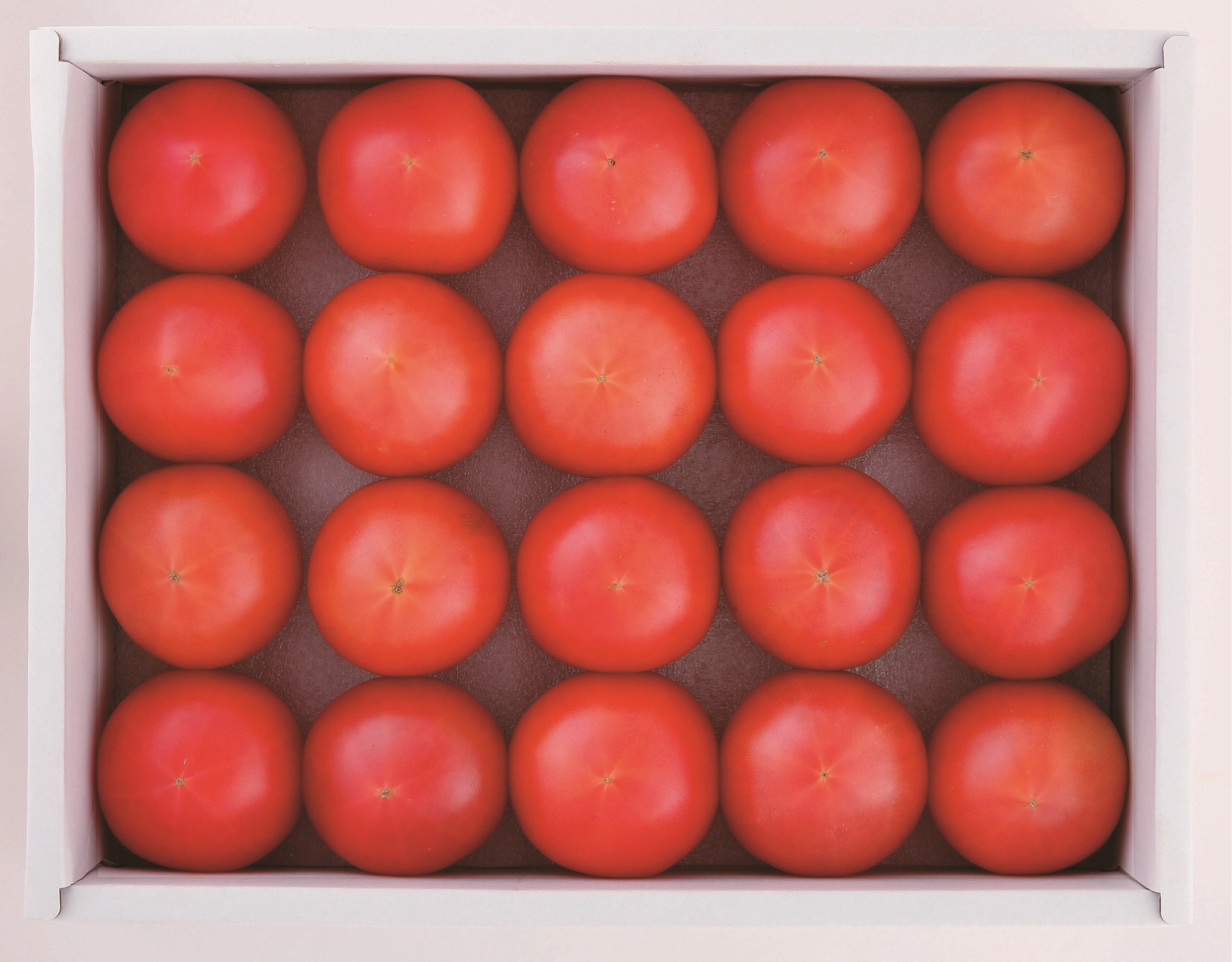 B09　高知産　高糖度とまと