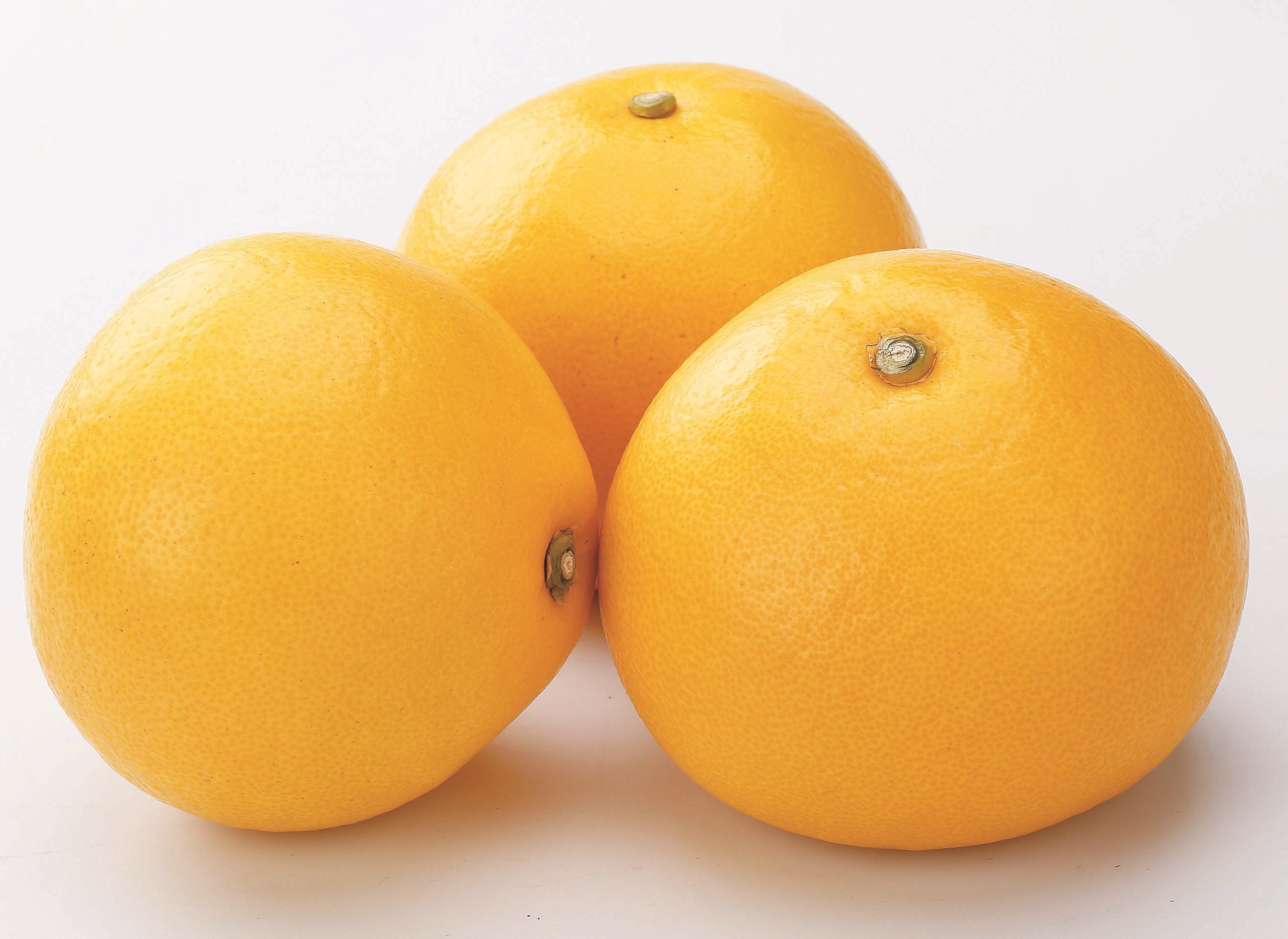 B03　高知産　土佐文旦L