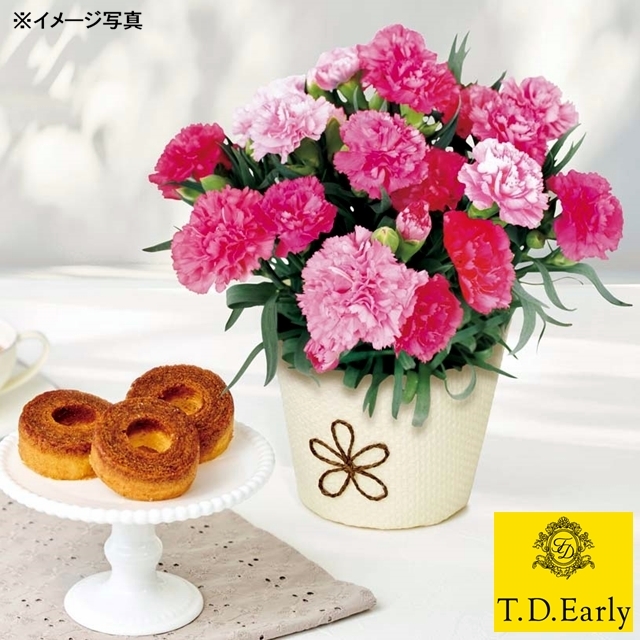 カーネーション (ホットハート)とT.D.Ealyキャラメリゼバウム