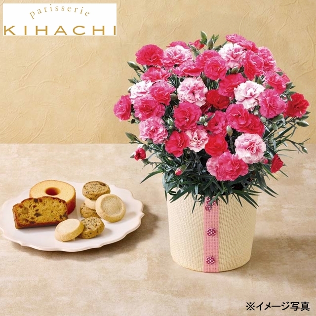 カーネーション (さくらもなか)と「パティスリーキハチ」アソートBOX