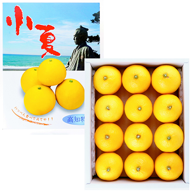 K01高知県産   温室小夏2.5㎏