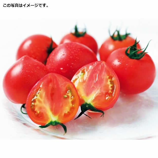 高知産　てっぺんトマト