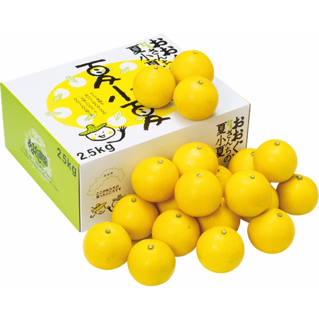 高知産　おおぐし農園夏小夏(2.5㎏)