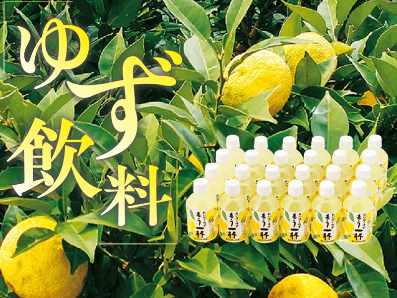 高知の飲料・調味料（14-16頁）