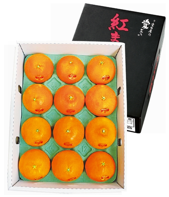 愛媛県産  紅まどんな(3kg)Lサイズ(青秀)※JA越智今治